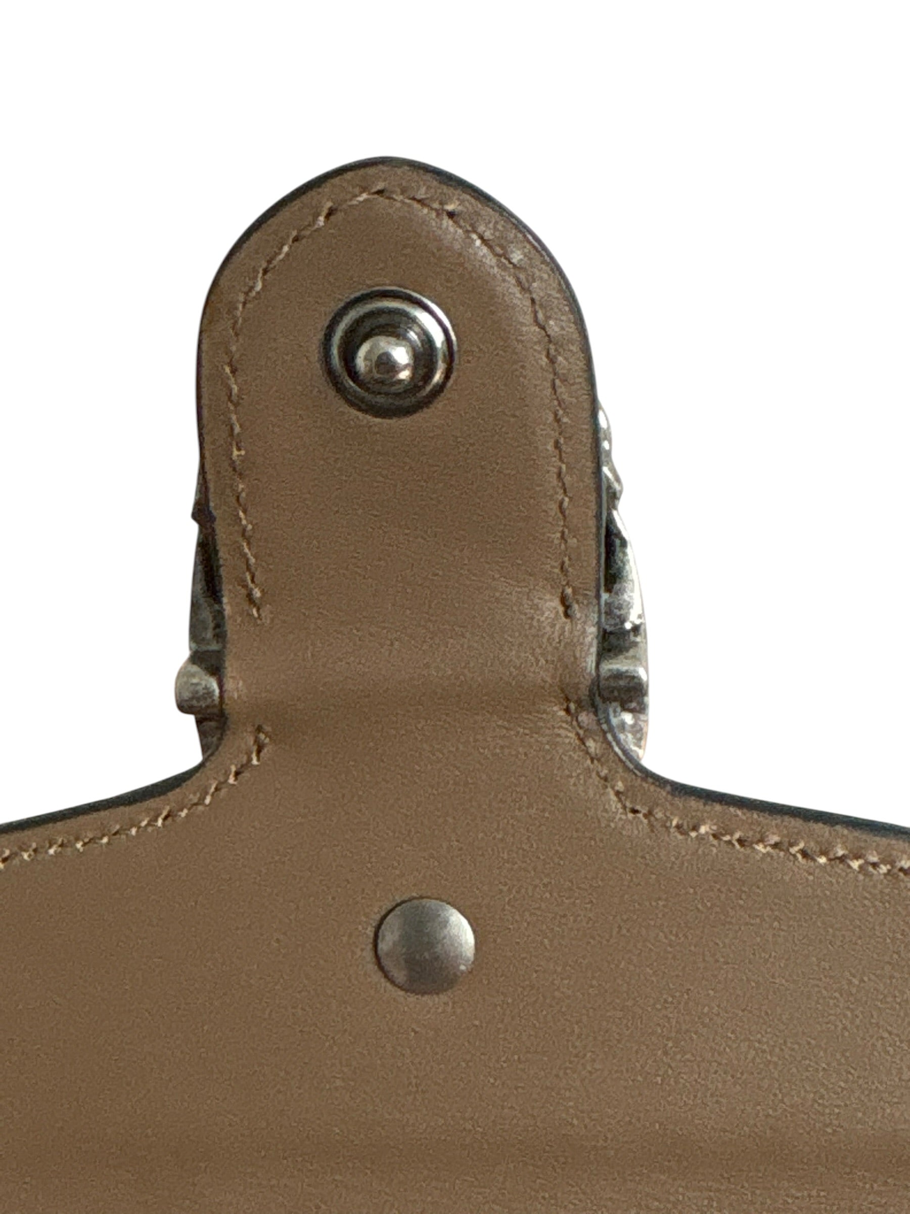 Gucci Dionysus Mini Bag – GG Supreme Canvas & Taupe Suede