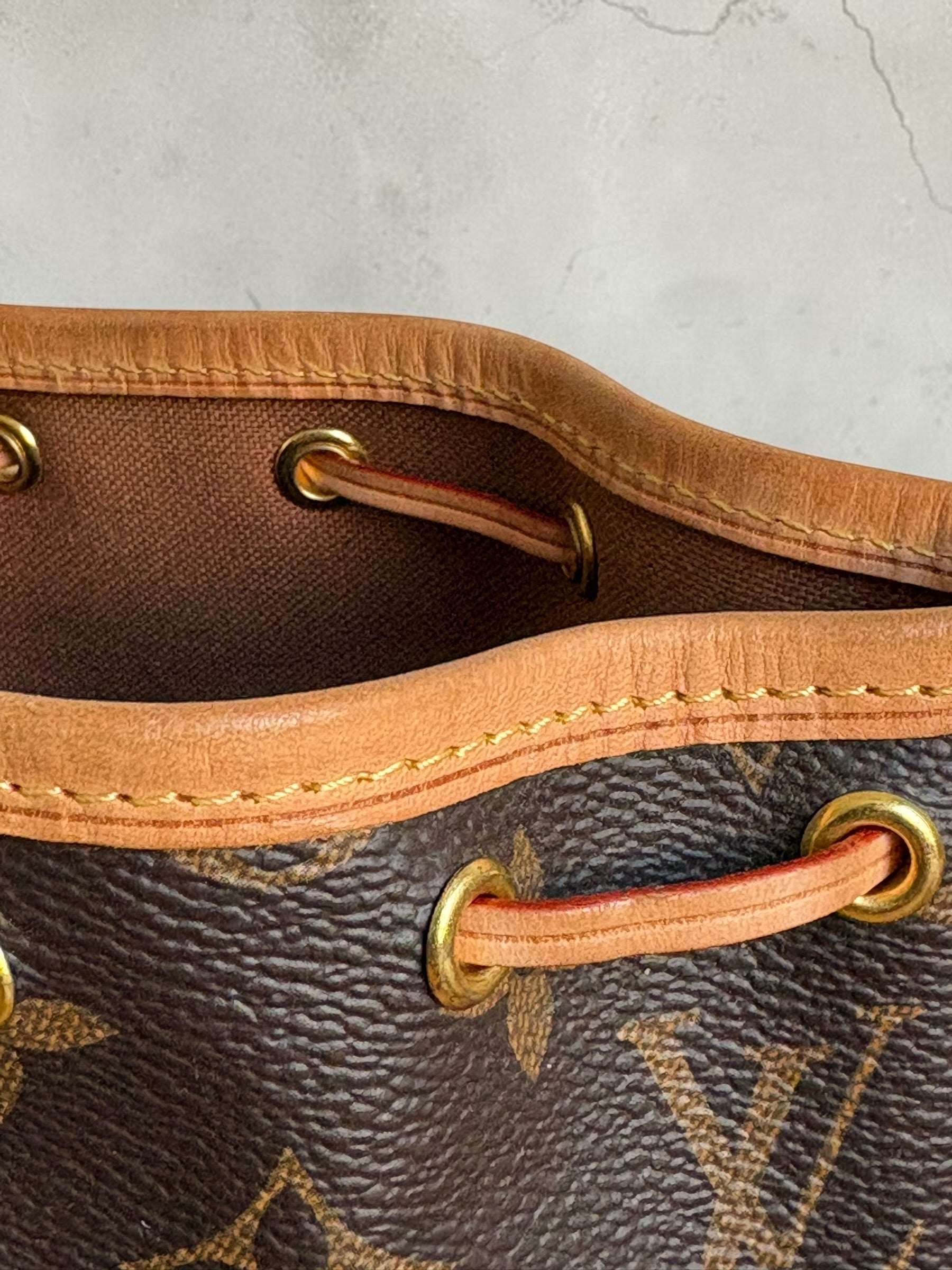 Louis Vuitton Nano Noé — Monogram Canvas