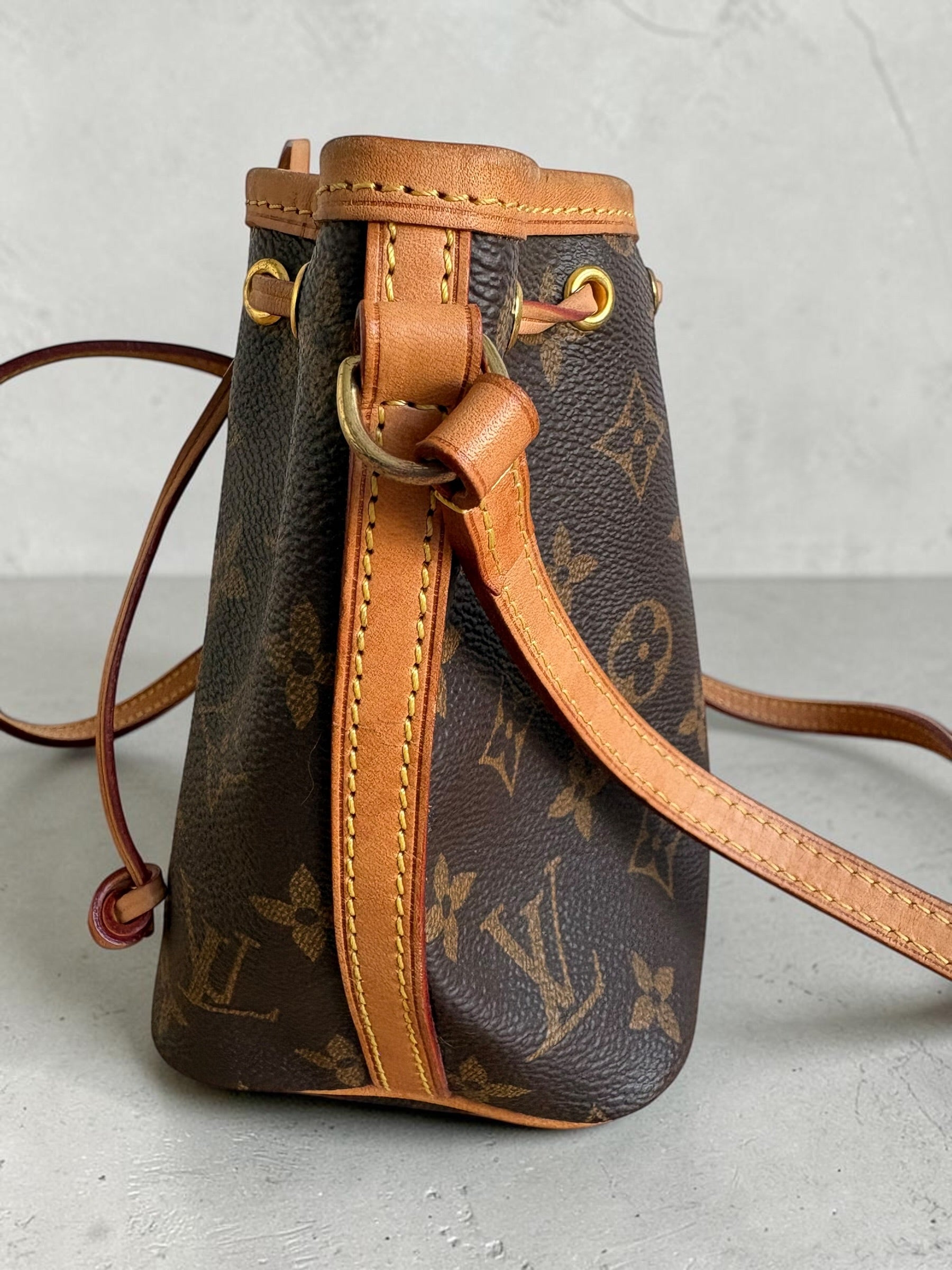 Louis Vuitton Nano Noé — Monogram Canvas