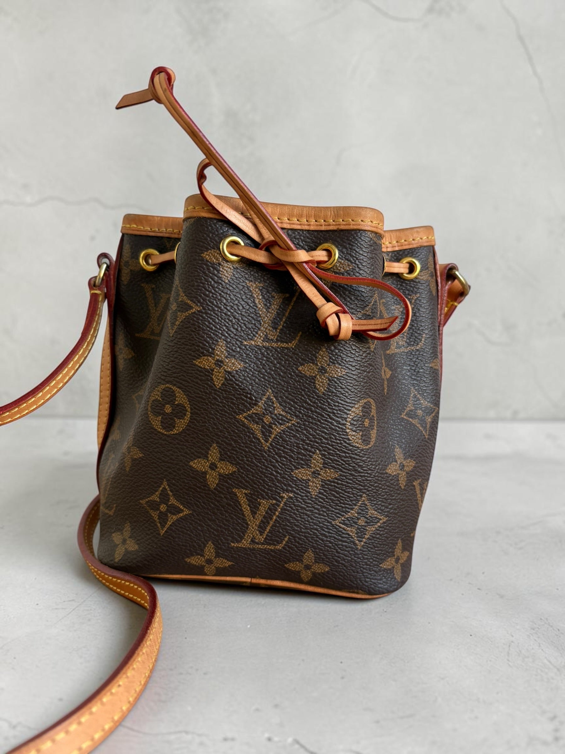 Louis Vuitton Nano Noé — Monogram Canvas