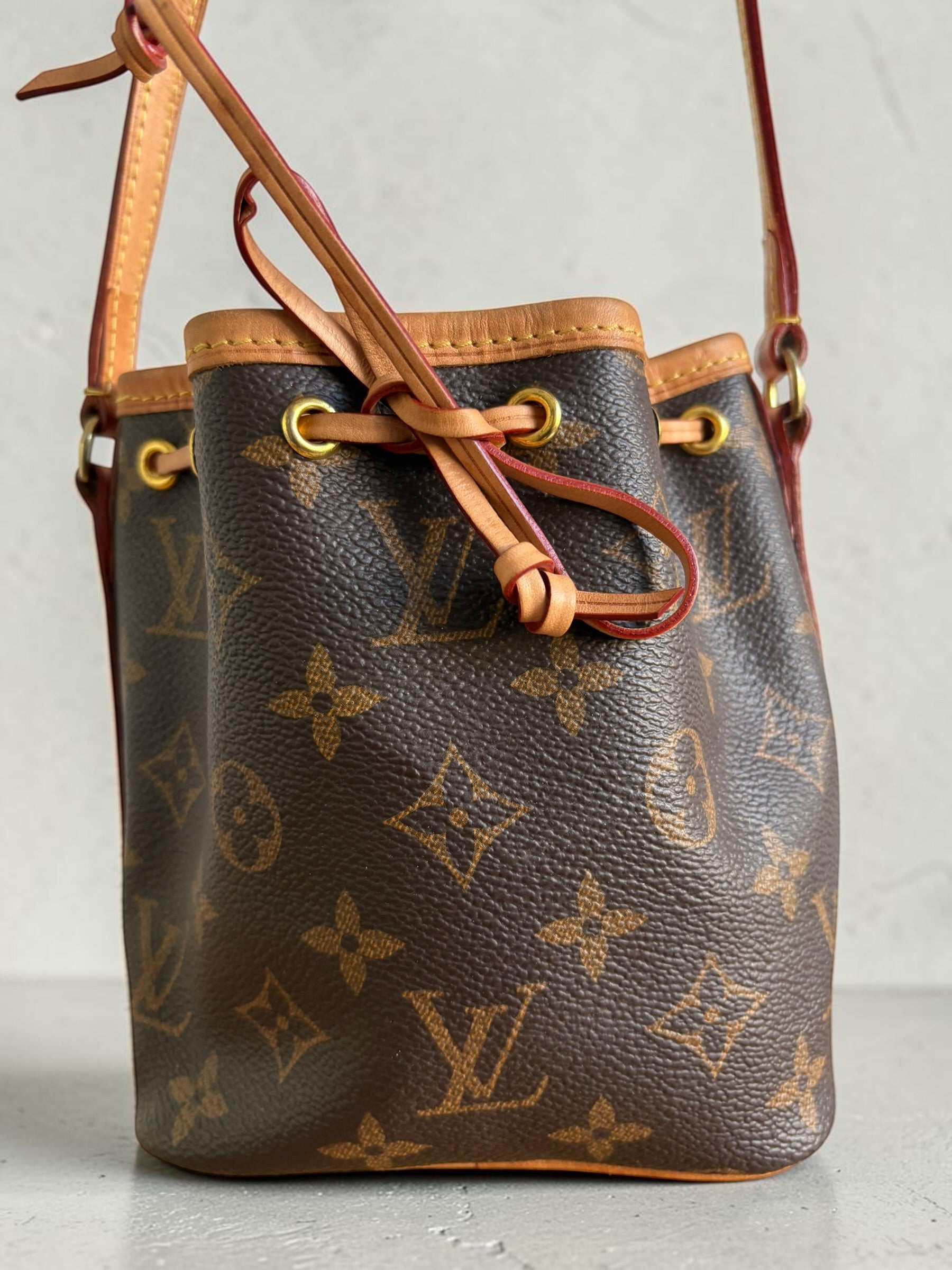 Louis Vuitton Nano Noé — Monogram Canvas