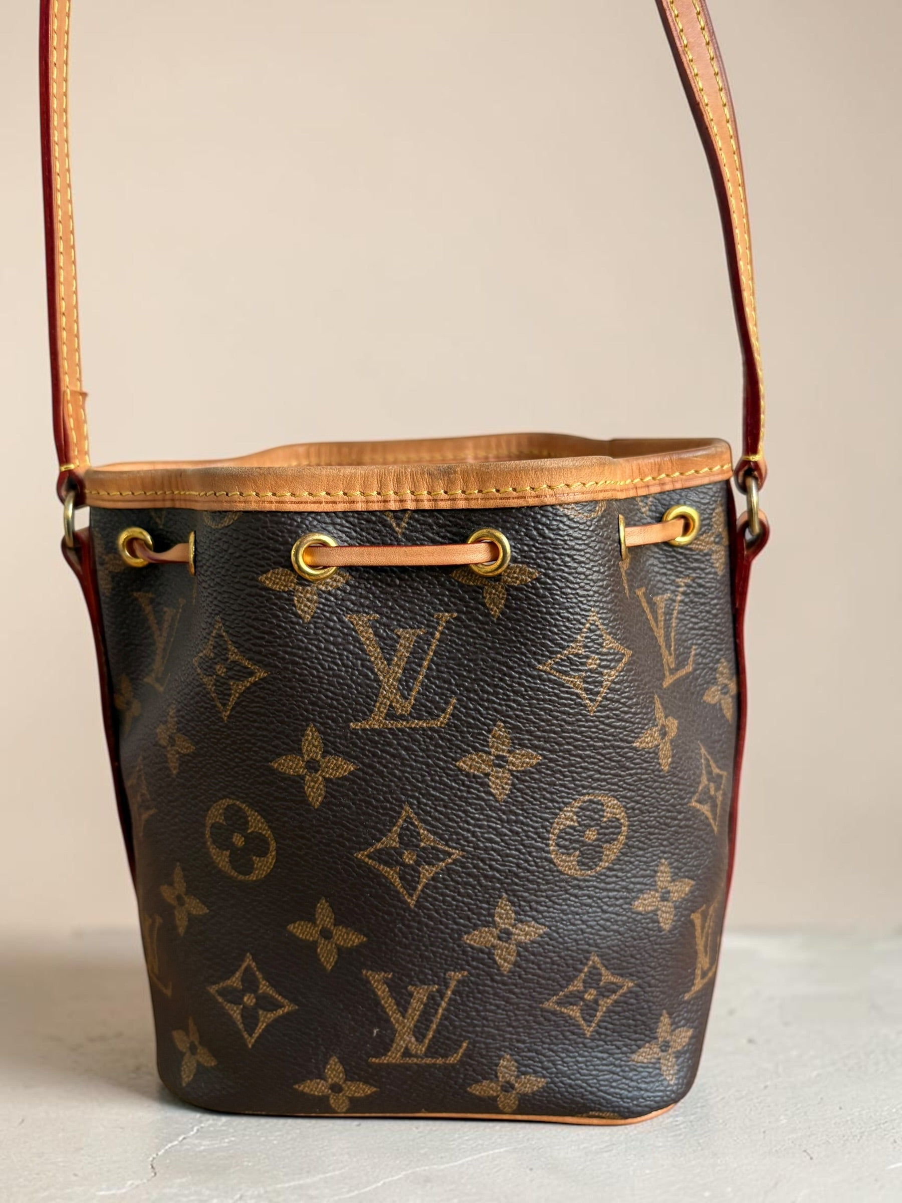 Louis Vuitton Nano Noé — Monogram Canvas
